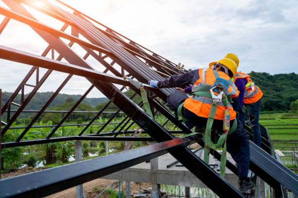 Best Roof Waterproofing Services  in Mathis, TX