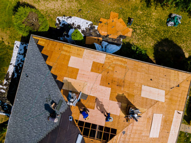 Professional Roofing Contractor in Mathis, TX
