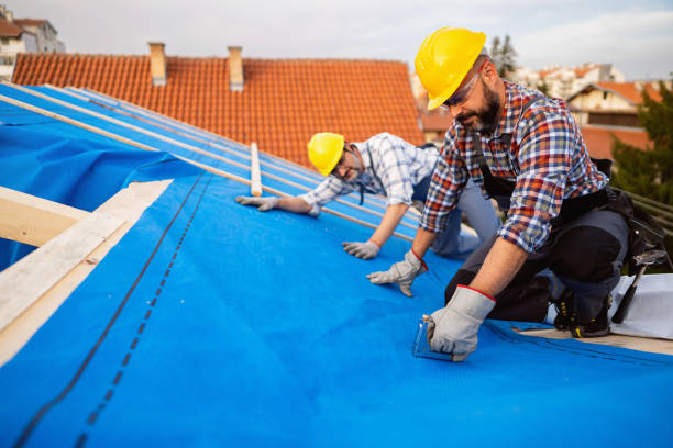 Roof Gutter Cleaning in Mathis, TX