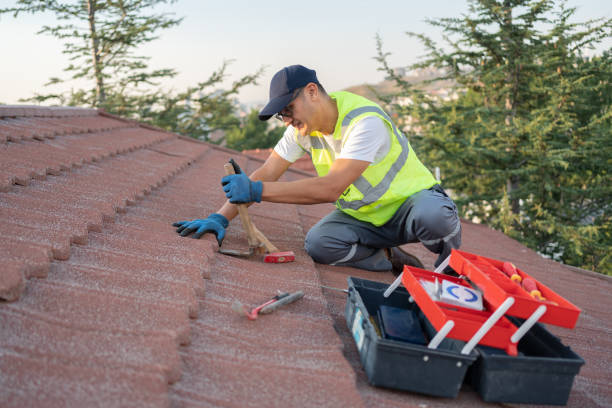 Best Roof Gutter Cleaning  in Mathis, TX